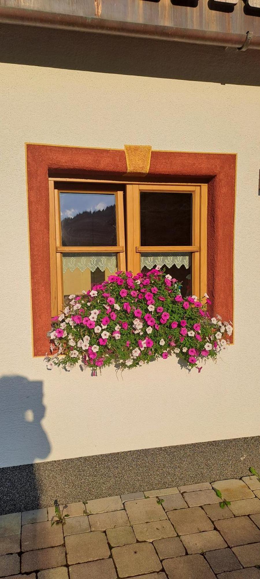 Ferienwohnung Steinernes Meer Maria Alm am Steinernen Meer Kültér fotó