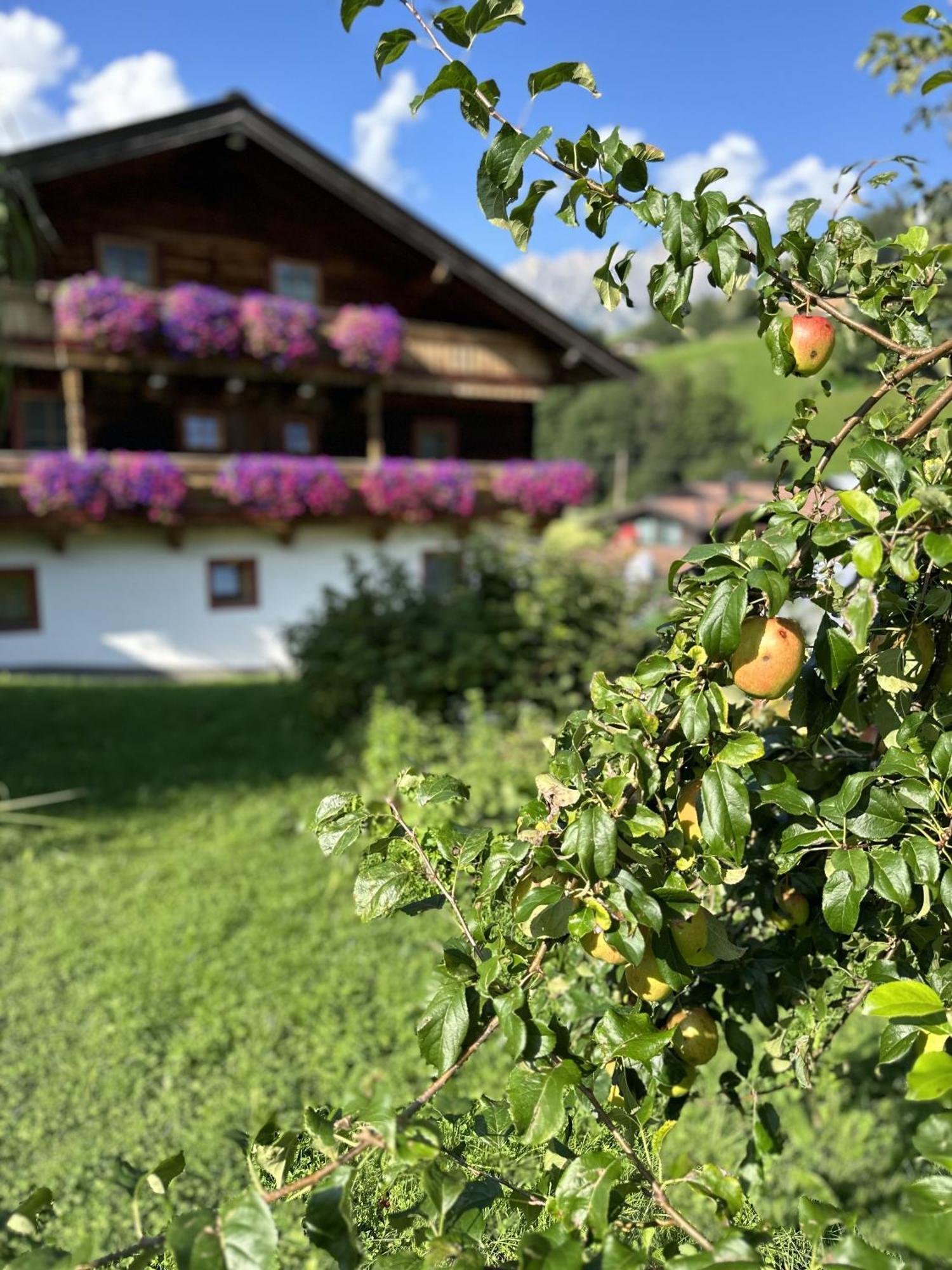 Ferienwohnung Steinernes Meer Maria Alm am Steinernen Meer Kültér fotó