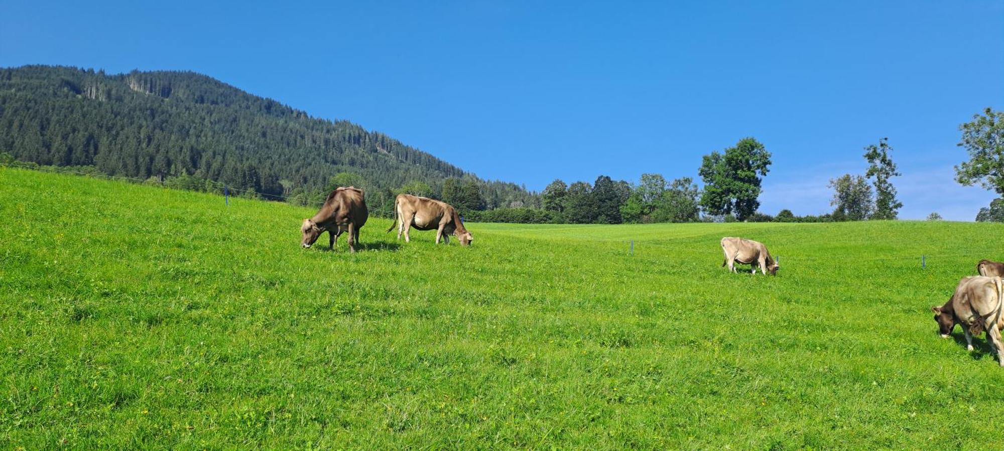Ferienwohnung Steinernes Meer Maria Alm am Steinernen Meer Kültér fotó