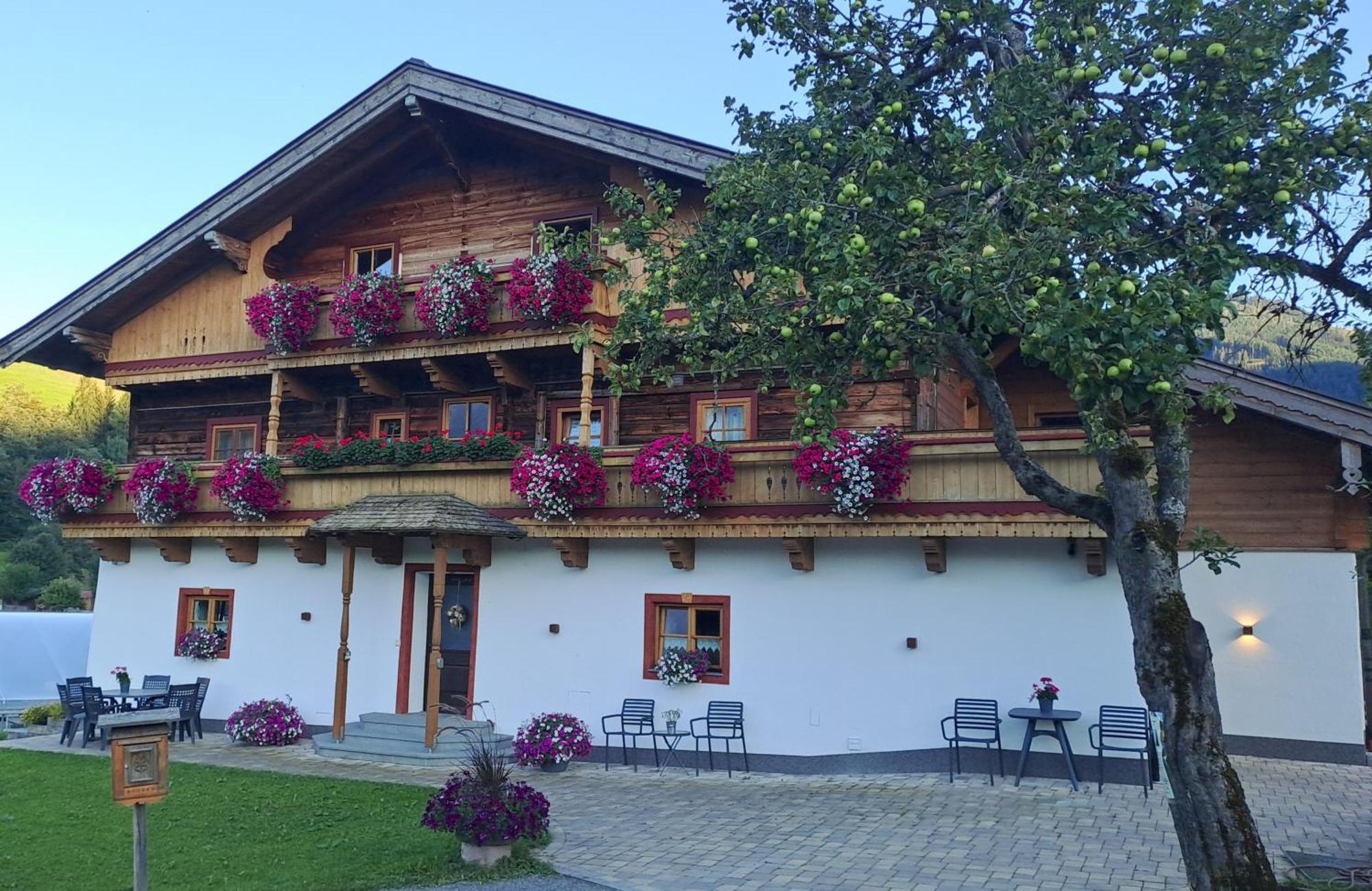 Ferienwohnung Steinernes Meer Maria Alm am Steinernen Meer Kültér fotó
